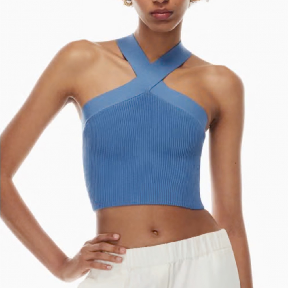 Aritzia Top